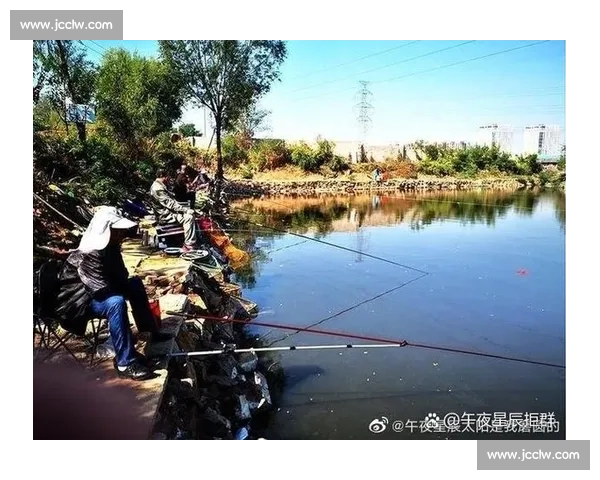 《打造高效比赛鱼塘管理模式提升竞技水平与钓鱼体验的探索与实践》